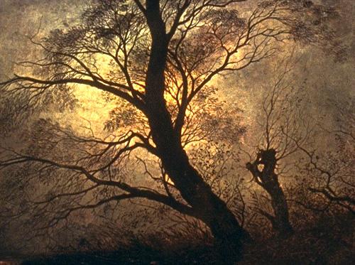 Caspar David Friedrich Trees in the moonlight oil painting image